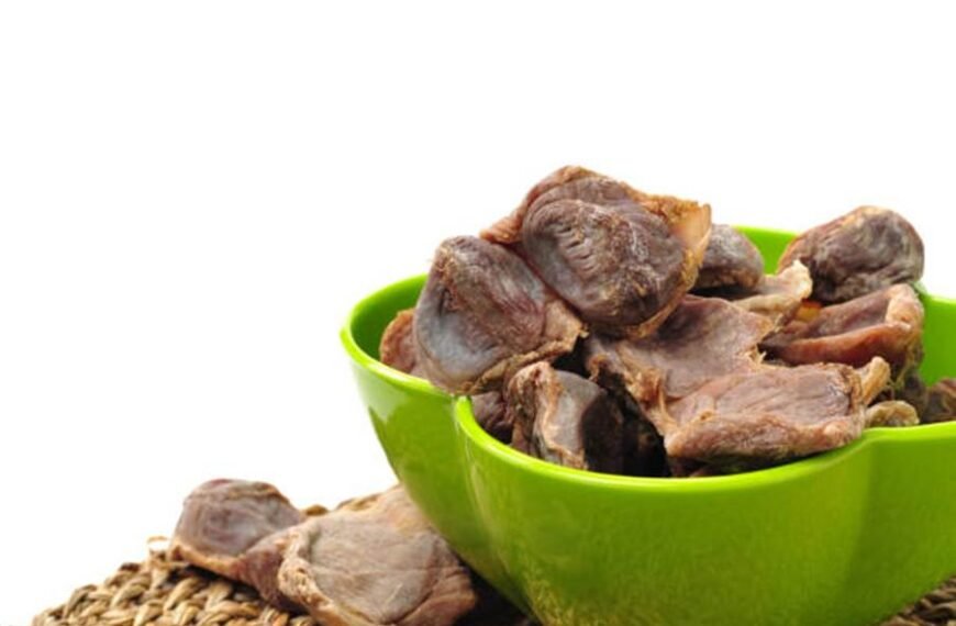 Why Turkey Liver Snacks for Dogs Are Great for Training and Healthy Snacking